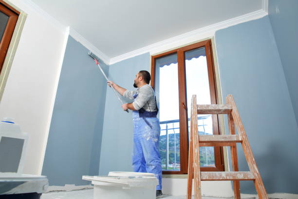 Best HVAC Mold Inspection and Cleaning  in Deerfield, MI