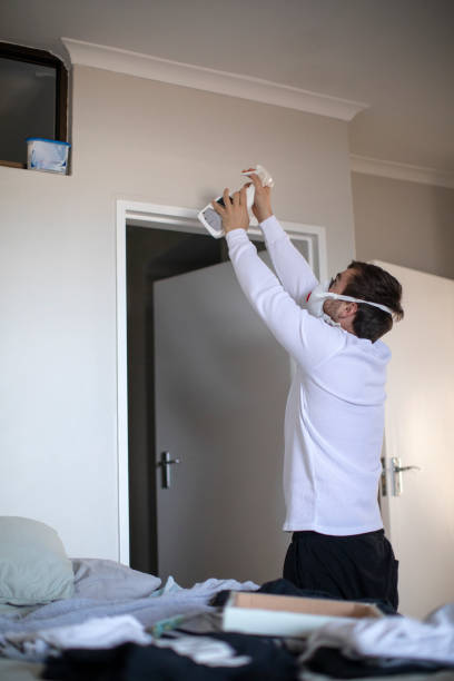 Best Air Quality Testing for Mold Spores  in Deerfield, MI