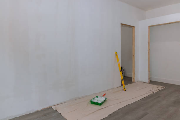Best Black Mold Removal  in Deerfield, MI