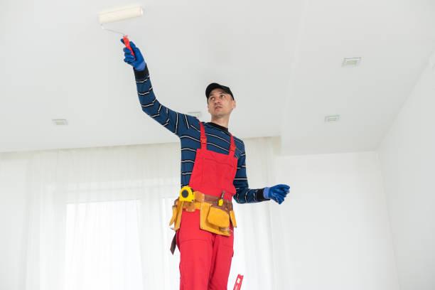 Best Mold Damage Restoration  in Deerfield, MI