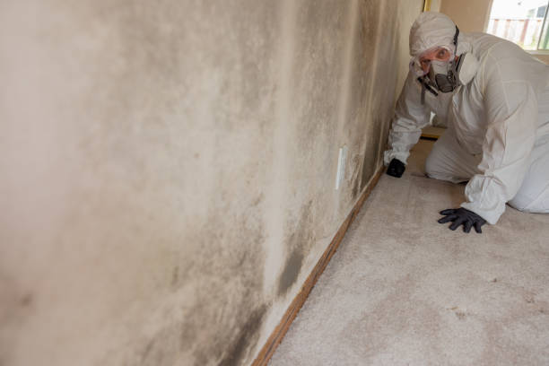 Best Mold Remediation for Healthcare Facilities  in Deerfield, MI