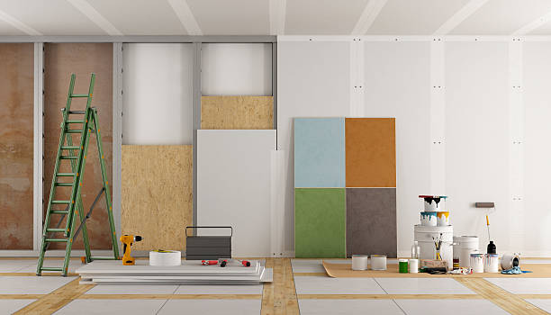 Best Basement Mold Removal  in Deerfield, MI
