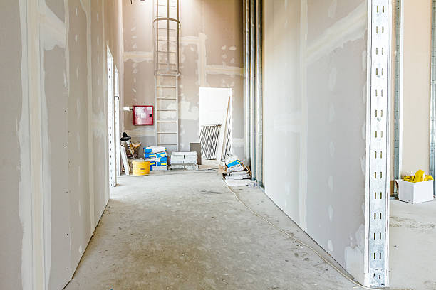 Best Forensic Mold Investigation  in Deerfield, MI
