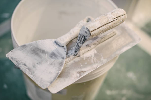 Best Water Damage & Mold Remediation  in Deerfield, MI