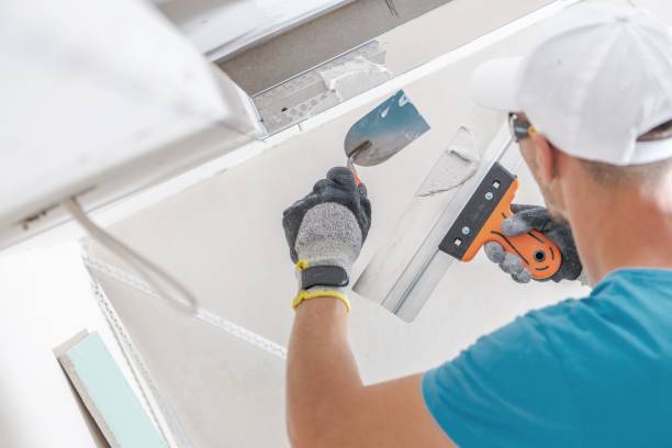 Best HVAC Mold Inspection and Cleaning  in Deerfield, MI